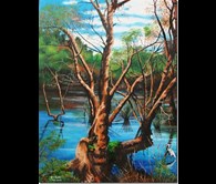  “Canning Wetlands 1” Kent Street Weir